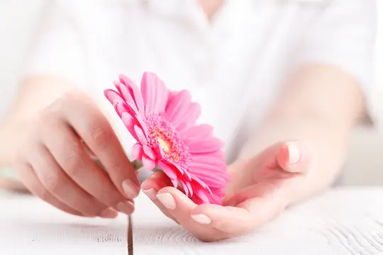 Ginecologista especialista em menopausa precoce em Florianópolis
