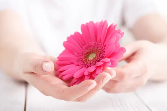 Ginecologista especialista em menopausa precoce em Florianópolis