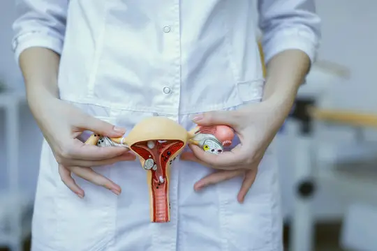 Ginecologista especialista em menopausa precoce em Florianópolis