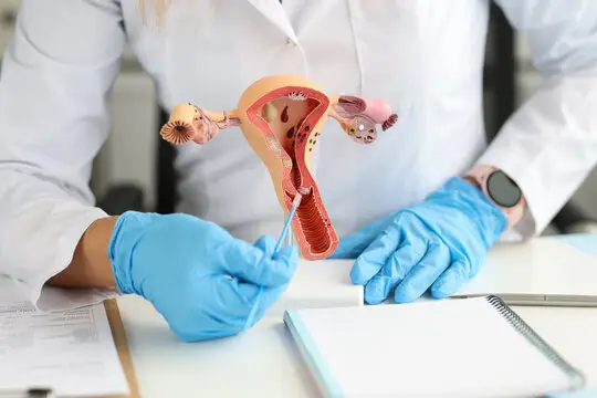Ginecologista especialista em reposição hormonal em Florianópolis