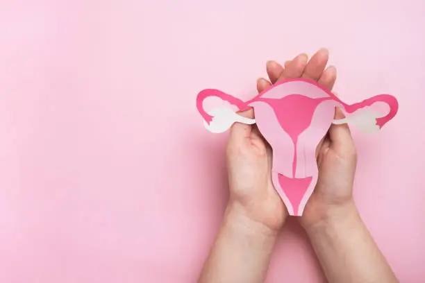 Ginecologista especialista em reposição hormonal em Santa Catarina