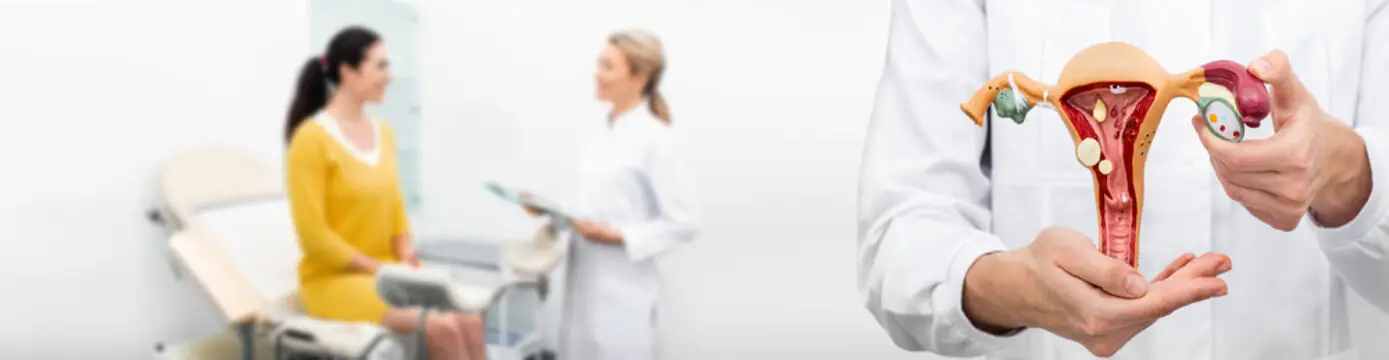 Médico especialista em climatério em Florianópolis